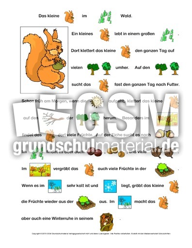 Mit-Bildern-lesen-Eichhörnchen-1.pdf